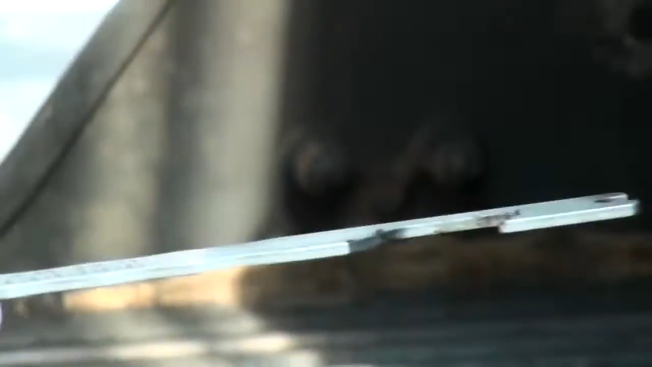 Close up of the BBQ Pic showing it's thickness.