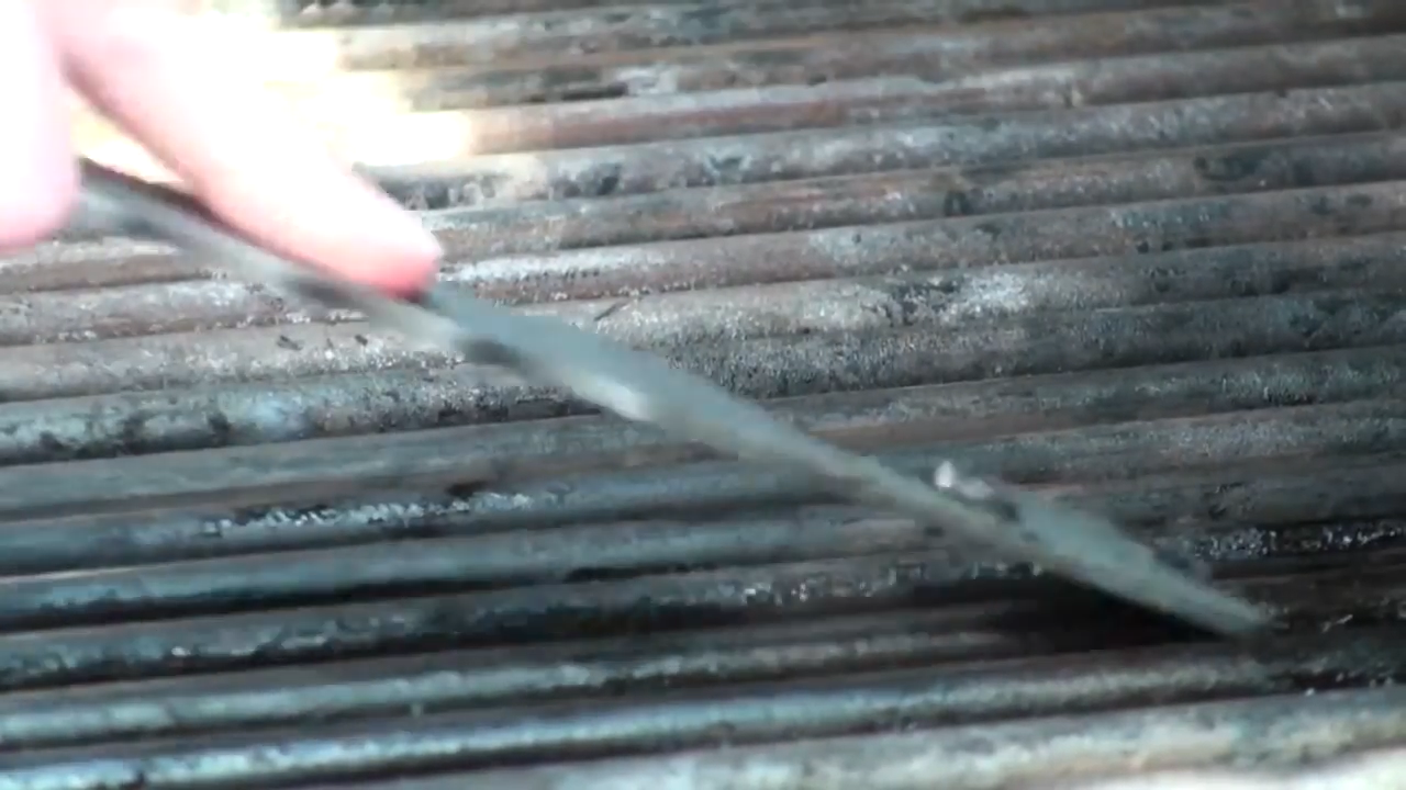 Close up of thickness of BBQ Pic.